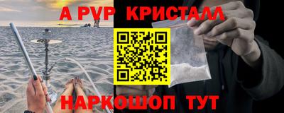 СК Гагарин