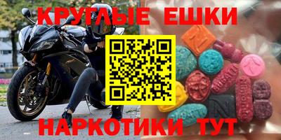 СК Майкоп